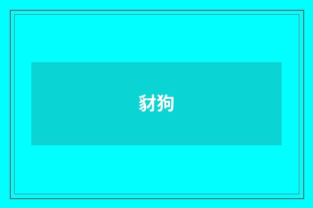 豺狗