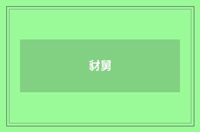 豺舅
