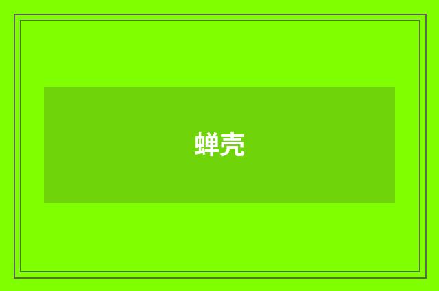 蝉壳