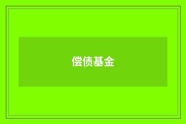偿债基金
