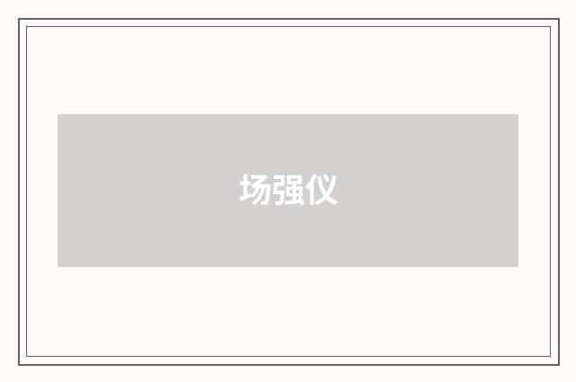 场强仪
