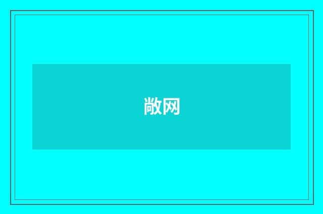 敞网