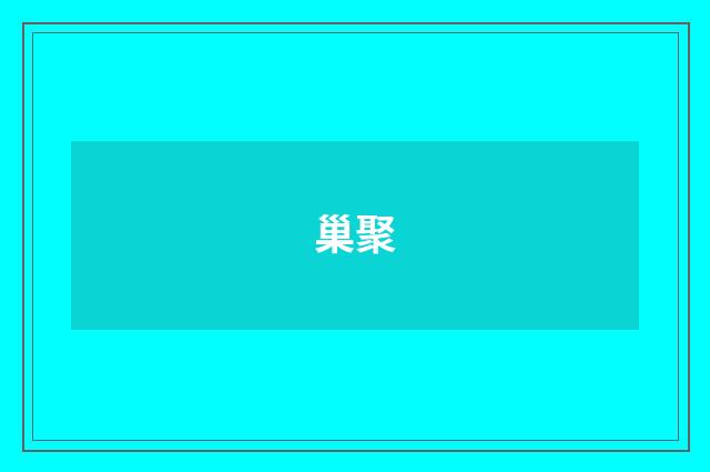 巢聚