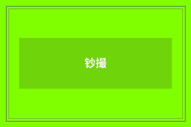 钞撮