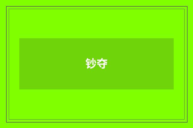 钞夺