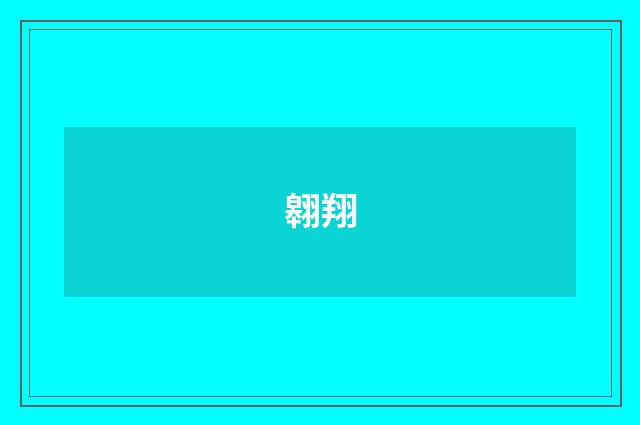 翱翔