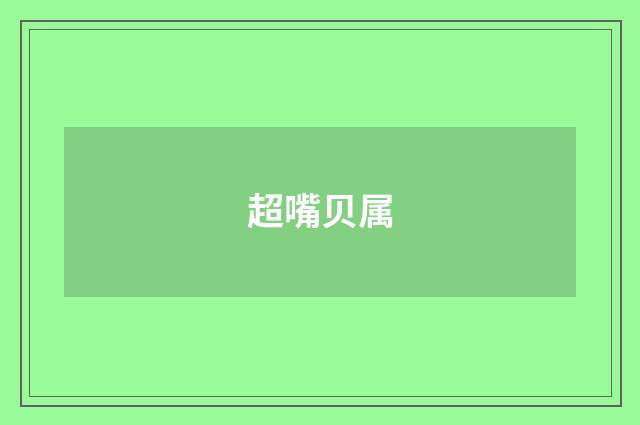 超嘴贝属