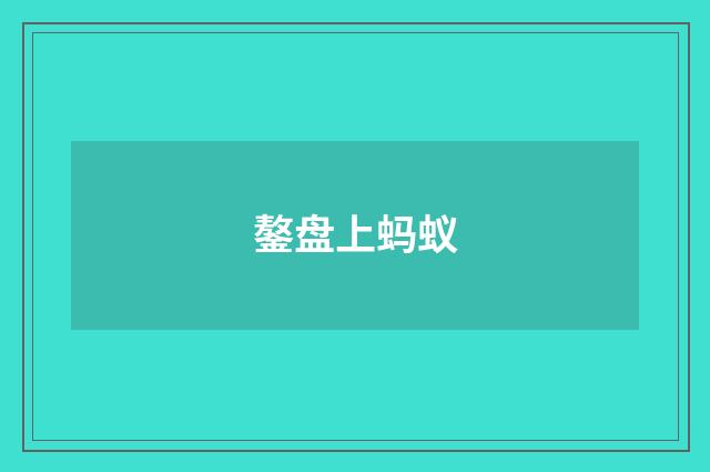 鏊盘上蚂蚁