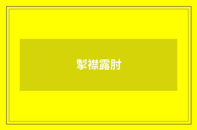 掣襟露肘