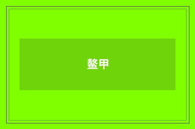 鳌甲