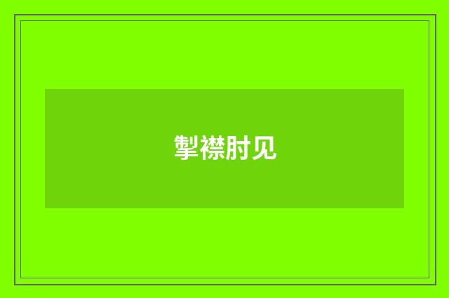 掣襟肘见