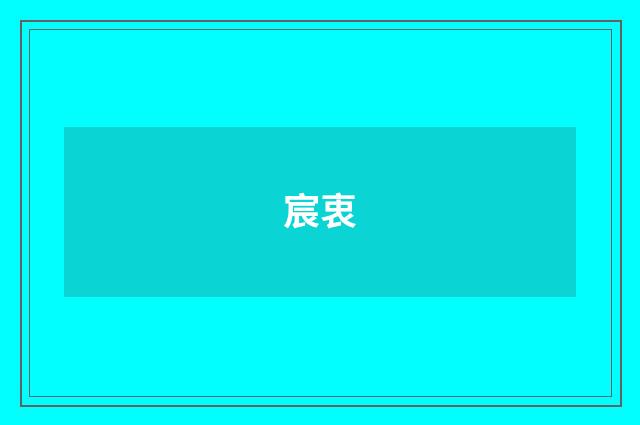 宸衷