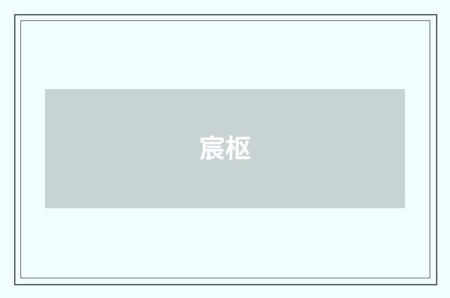 宸枢