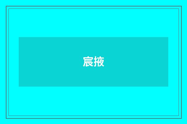 宸掖