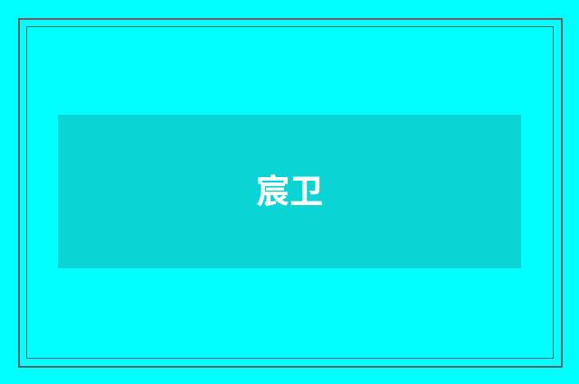 宸卫