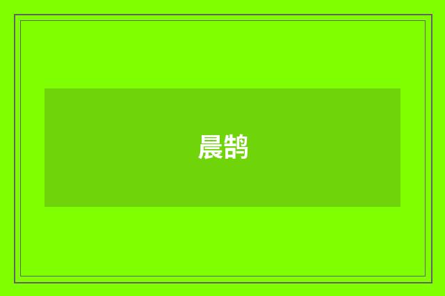 晨鹄
