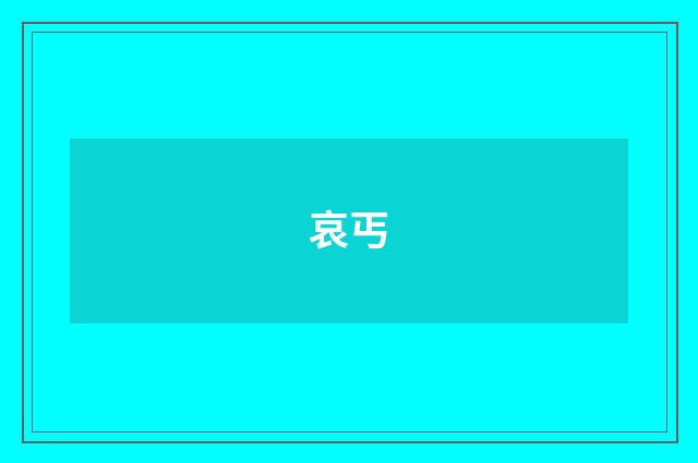 哀丐