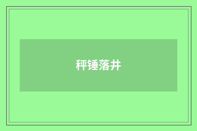 秤锤落井