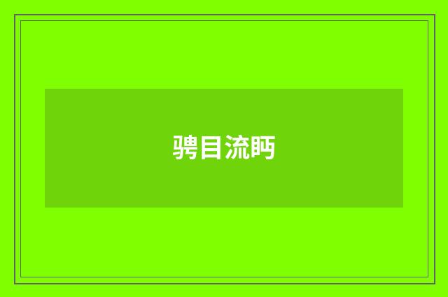 骋目流眄
