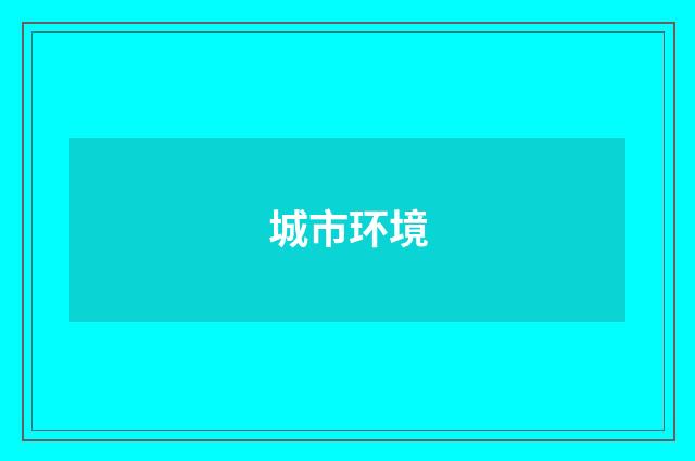 城市环境