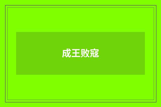 成王败寇
