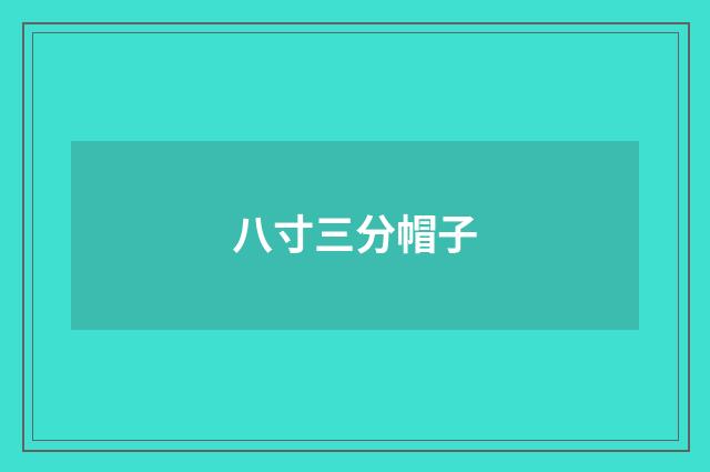 八寸三分帽子