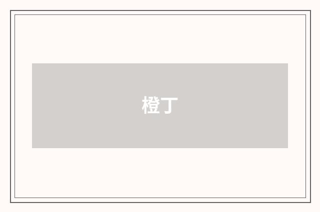 橙丁