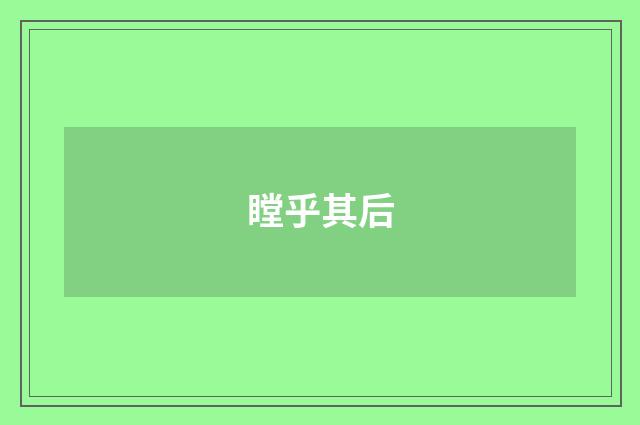 瞠乎其后