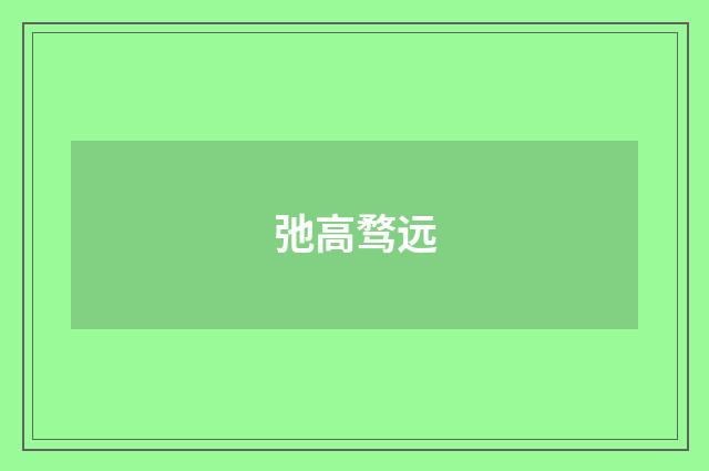 弛高骛远