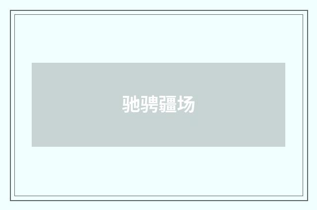 驰骋疆场