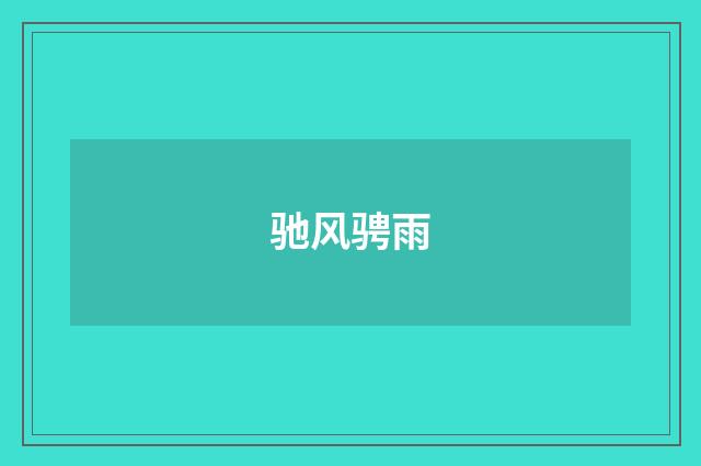 驰风骋雨
