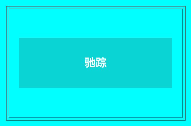 驰踪