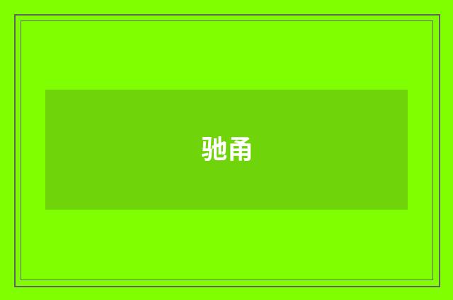 驰甬