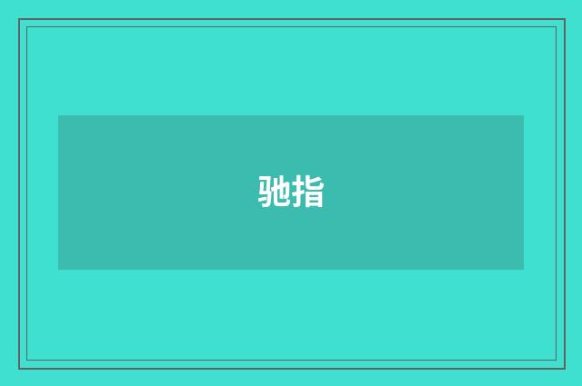 驰指
