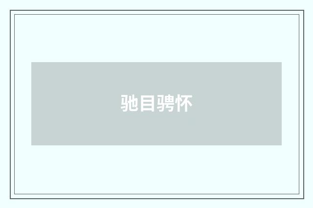 驰目骋怀