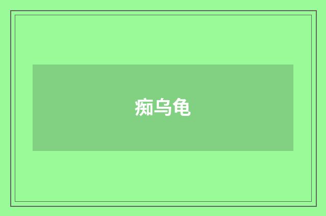 痴乌龟