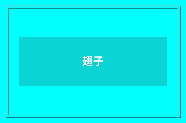 翅子