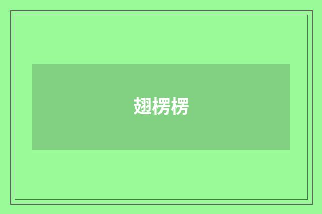 翅楞楞