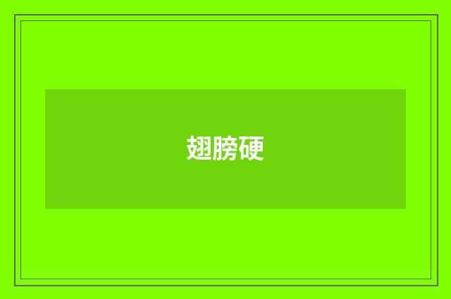 翅膀硬
