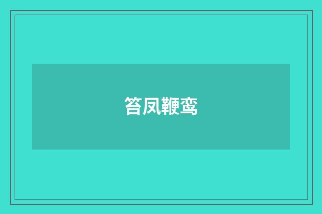 笞凤鞭鸾