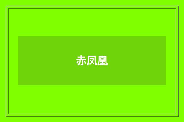 赤凤凰