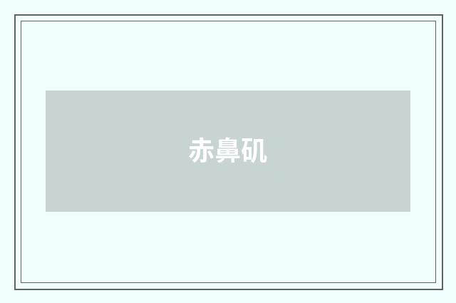 赤鼻矶