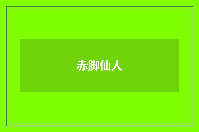 赤脚仙人