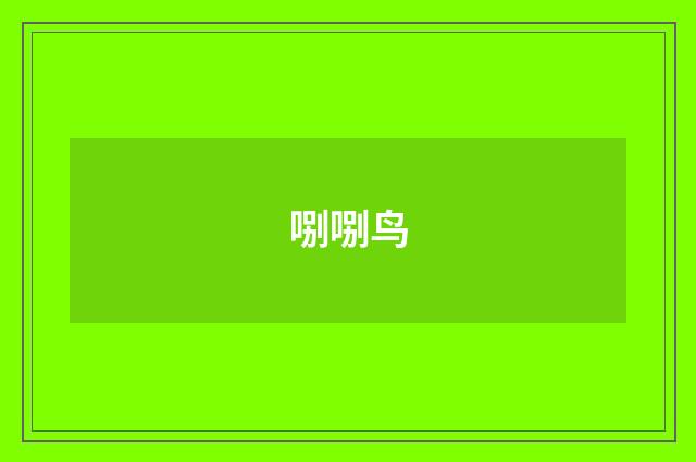 哵哵鸟