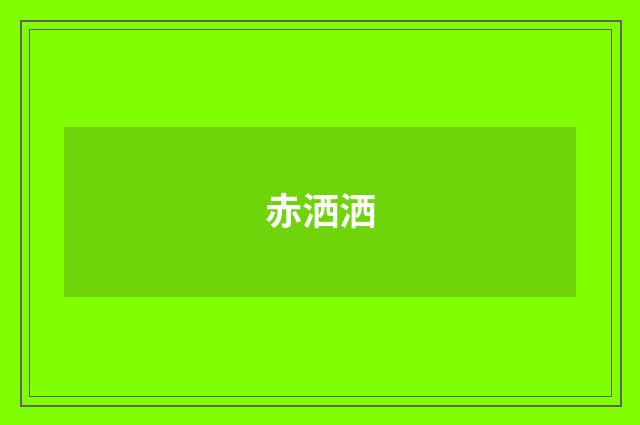 赤洒洒