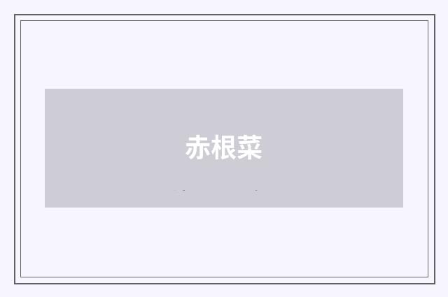 赤根菜