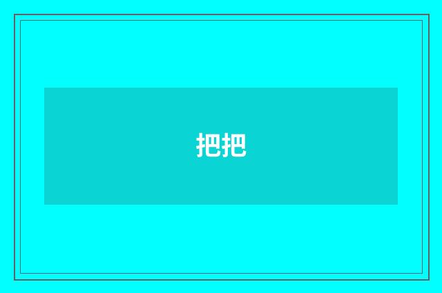 把把