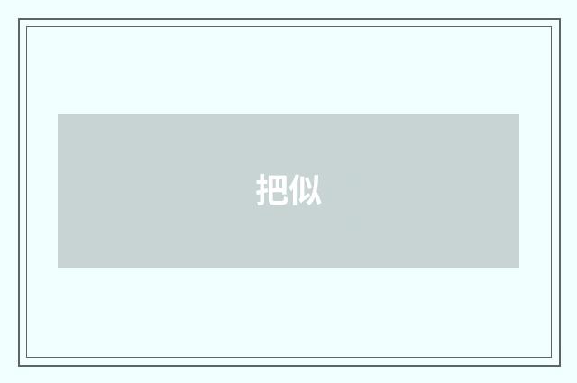 把似