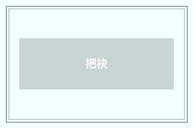 把袂