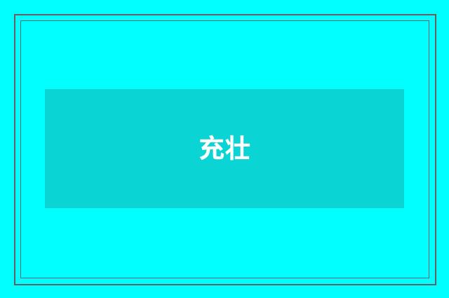 充壮